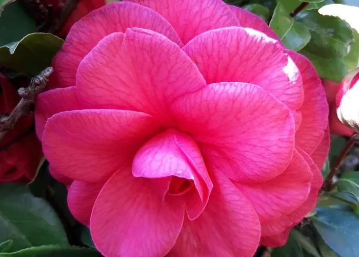 La Mergozzina Σπίτι διακοπών