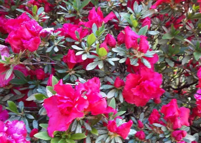 Σπίτι διακοπών La Mergozzina *